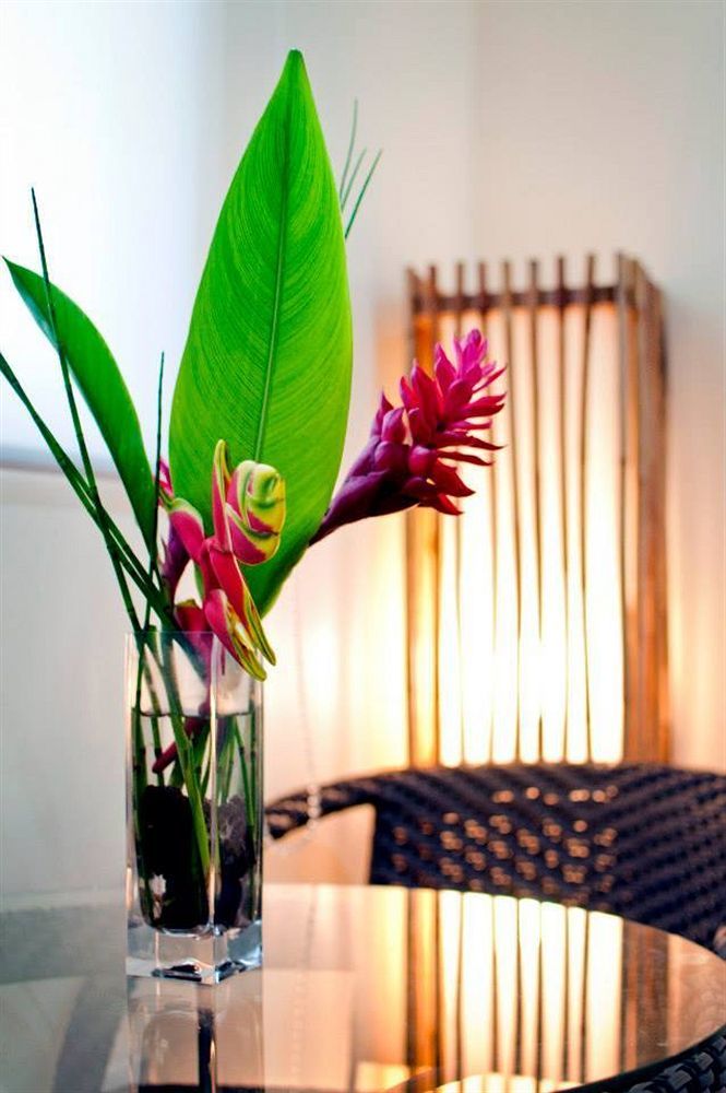 Natures Garden Park Resort And Spa Lapu-Lapu City Kültér fotó